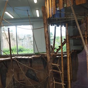 Bonobo indoor housing, 2023-08-17