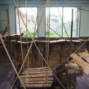 Bonobo indoor housing, 2023-08-17