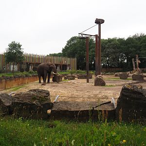 Part of main African bush elephant paddock and Bonobo house, 2023-08-17