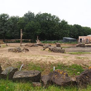 Main African bush elephant paddock, 2023-08-17
