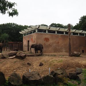 Smaller African bush elephant paddock and African bush elephant house, 2023-08-17
