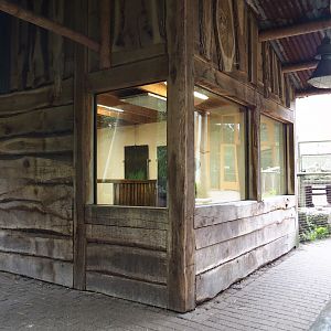 Red river hog barn, 2023-08-17