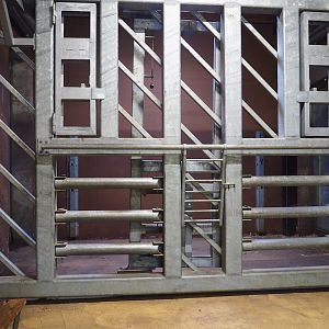 African bush elephant corridor and training wall, 2023-08-17