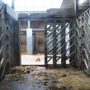 African bush elephant indoor housing, 2023-08-17