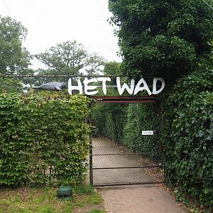 Entrance to Wadden aviary with Harbor seals and Great cormorants, 2023-08-17