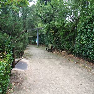 Walkway in Wadden aviary with Harbor seals and Great cormorants, 2023-08-17