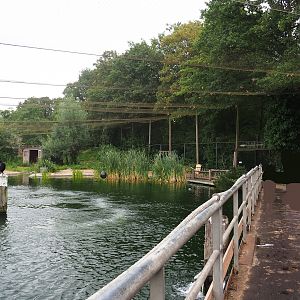 Viewing bridge in Wadden aviary with Harbor seals and Great cormorants, 2023-08-17