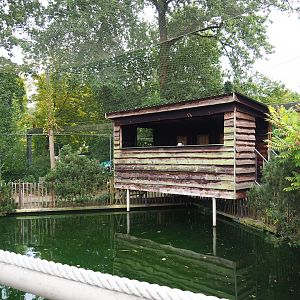Viewing hut in Wadden aviary with Harbor seals and Great cormorants, 2023-08-17