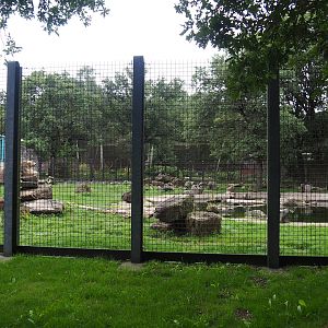 Main polar bear exhibit, 2023-08-17