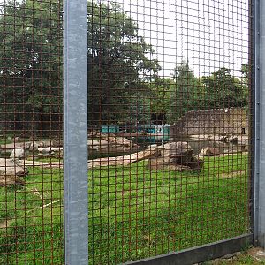 Main polar bear exhibit, 2023-08-17