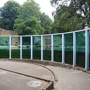 Main polar bear exhibit - Underwater viewing area, 2023-08-17