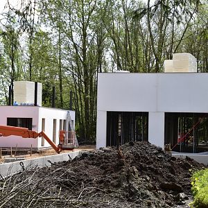 Construction Monkey Island