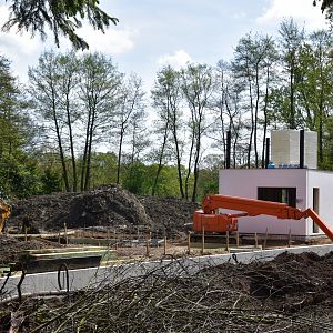 Construction Monkey Island