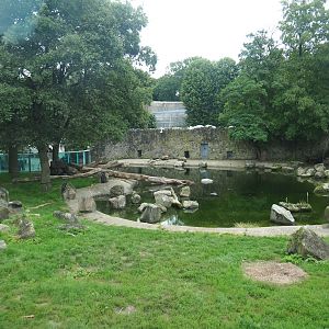 Main polar bear exhibit, 2023-08-17