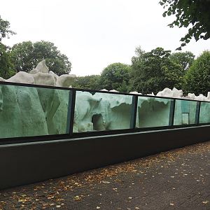 Second smaller polar bear exhibit, 2023-08-17