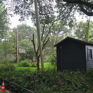 Saddle-billed stork aviary, 2023-08-17