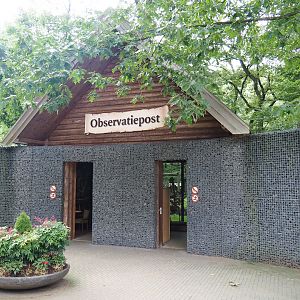 Sun bear viewing building, 2023-08-17