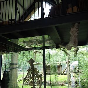 Inside the sun bear viewing building, 2023-08-17