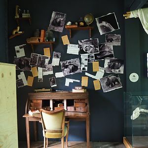 Inside the sun bear viewing building, 2023-08-17
