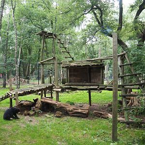 Sun bear exhibit, 2023-08-17