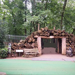 Exit of the bear forest, 2023-08-17