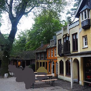 Bear forest area - Carpathian village, 2023-08-17