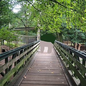 Viewing bridge for bear forest with rescued European brown bears and Eurasian grey wolves, 2023-08-17