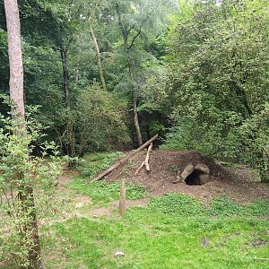 Bear forest with rescued European brown bears and Eurasian grey wolves, 2023-08-17