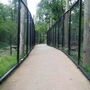 Walkway in bear forest area, 2023-08-17