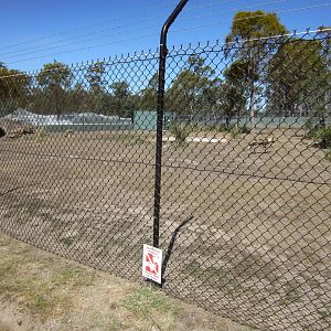 African Hunting Dog enclosre