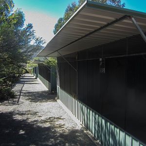 Row of Aviarys for Parrots and finches