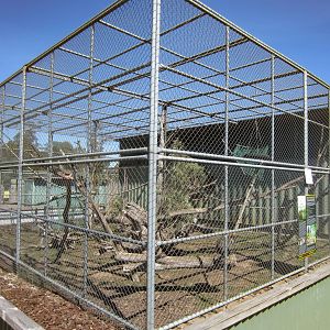 Crabeating Macaque cage