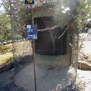 Eclectus parrot cage