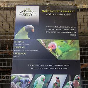 Label - with incorrect photos