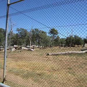 Lion enclosure