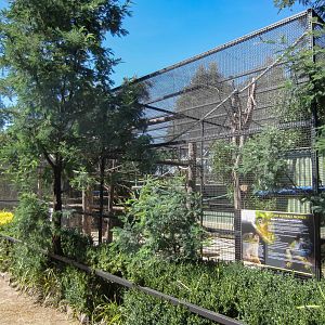 Squirrel Monkey exhibit