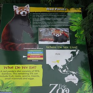 Red Panda Signage