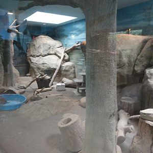 Meerkat Exhibit
