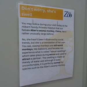 Sexual Swelling Signage