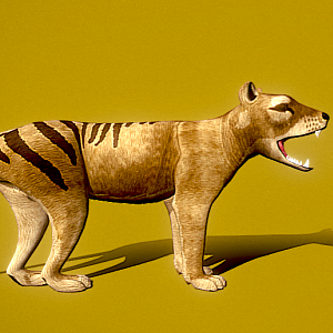 “The Mouths of Tasmania” - 2024