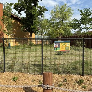 Red Flanked Duiker Yard