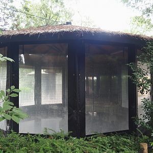American flamingo and Bar-headed goose indoor housing, 2023-08-17
