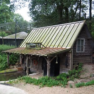 Great white pelican barn, 2023-08-17