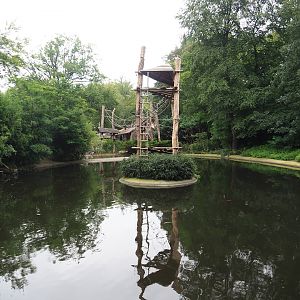 Great white pelican pond and Lar gibbon island, 2023-08-17