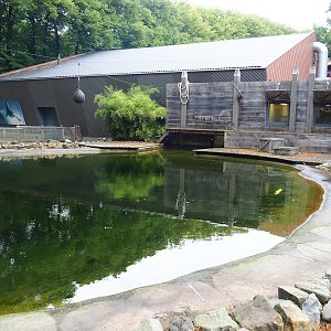 California sea lion outdoor pool and sea lion theater and sea lion holding buildings, 2023-08-17