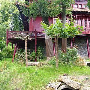 Pandasia - Outdoor exhibit and Giant panda and restaurant building, 2023-08-17