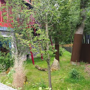 Pandasia - Outdoor exhibit, 2023-08-17