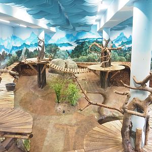 Pandasia - Second giant panda indoor exhibit, 2023-08-17