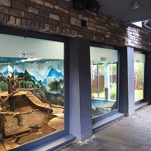 Pandasia - Viewing windows for indoor exhibit, 2023-08-17