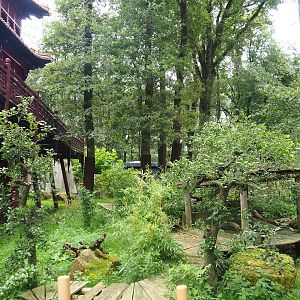 Pandasia - Outdoor exhibit, 2023-08-17